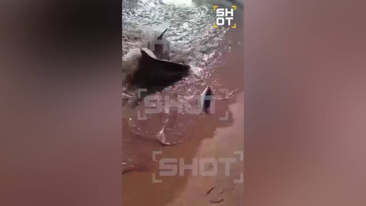 � ������� ���������� ������� � �������� ������ ��-�� ����