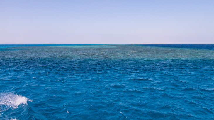 Пропавшие пассажиры с затонувшей в Красном море яхты Sea Story не выжили – СМИ