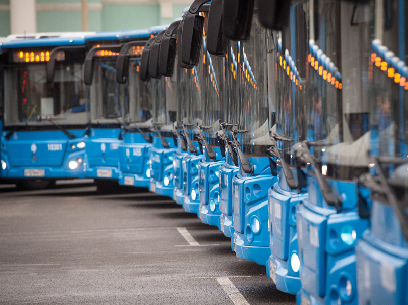 �� ����� ���� � ������ �������� 460 ����� ��������� � 20 ������������