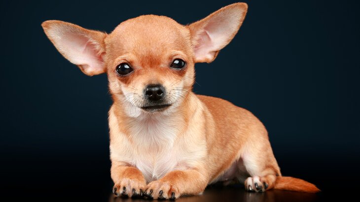 �������� ���� ������ ����� �������� � ������