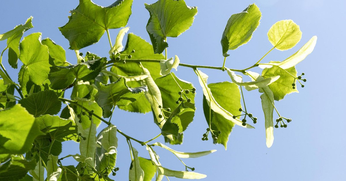 ���������� ���������� �������� �� ������, ������-������ � ������ �������