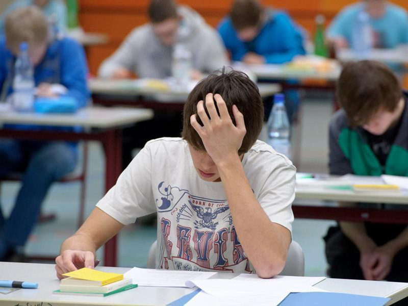 Флипчарт для детей. Каникулярная профориентационная школа. 9 летнее образование. Ученики лицея. Образовательная смена в школе.