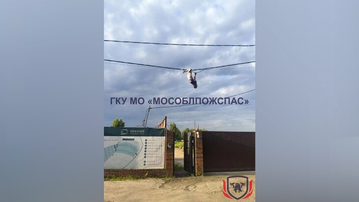 � �������� ������ �������, ����������� �� �������� ����� �������� ���