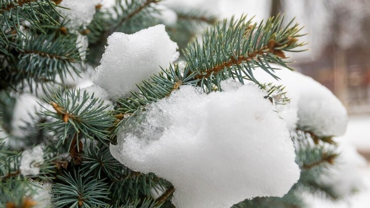 ����� 30% �� �������� ����� ������� ������ � �����������