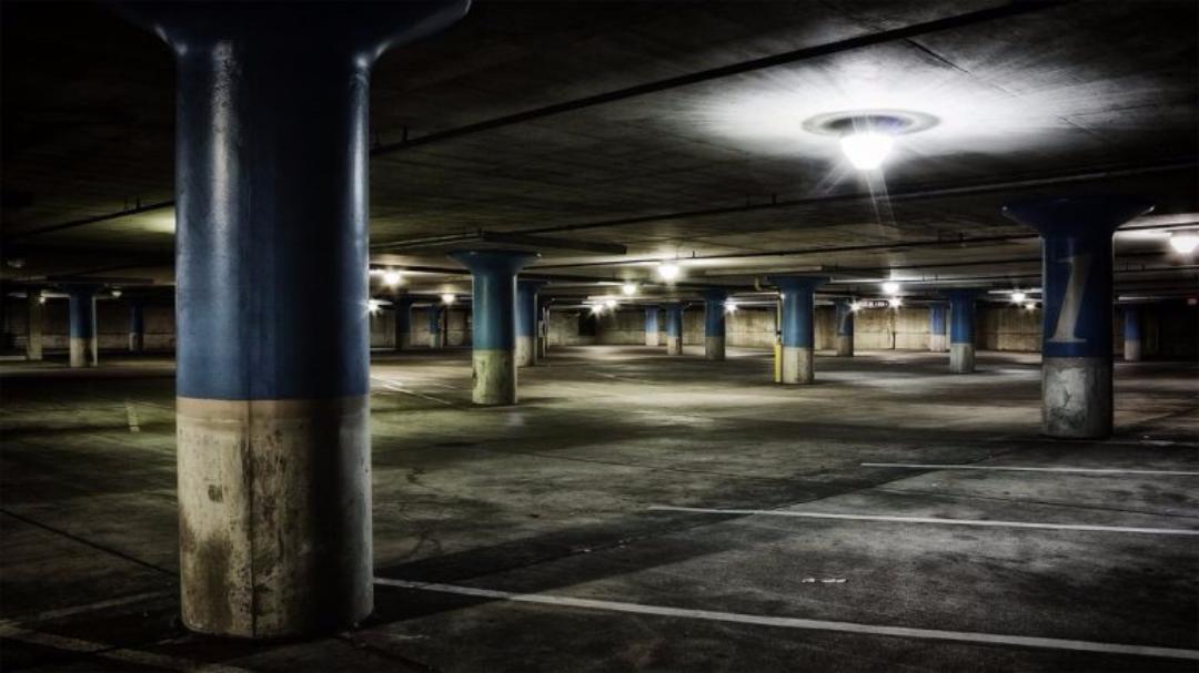 � ���� �������� ������������� ���� �������� ����������