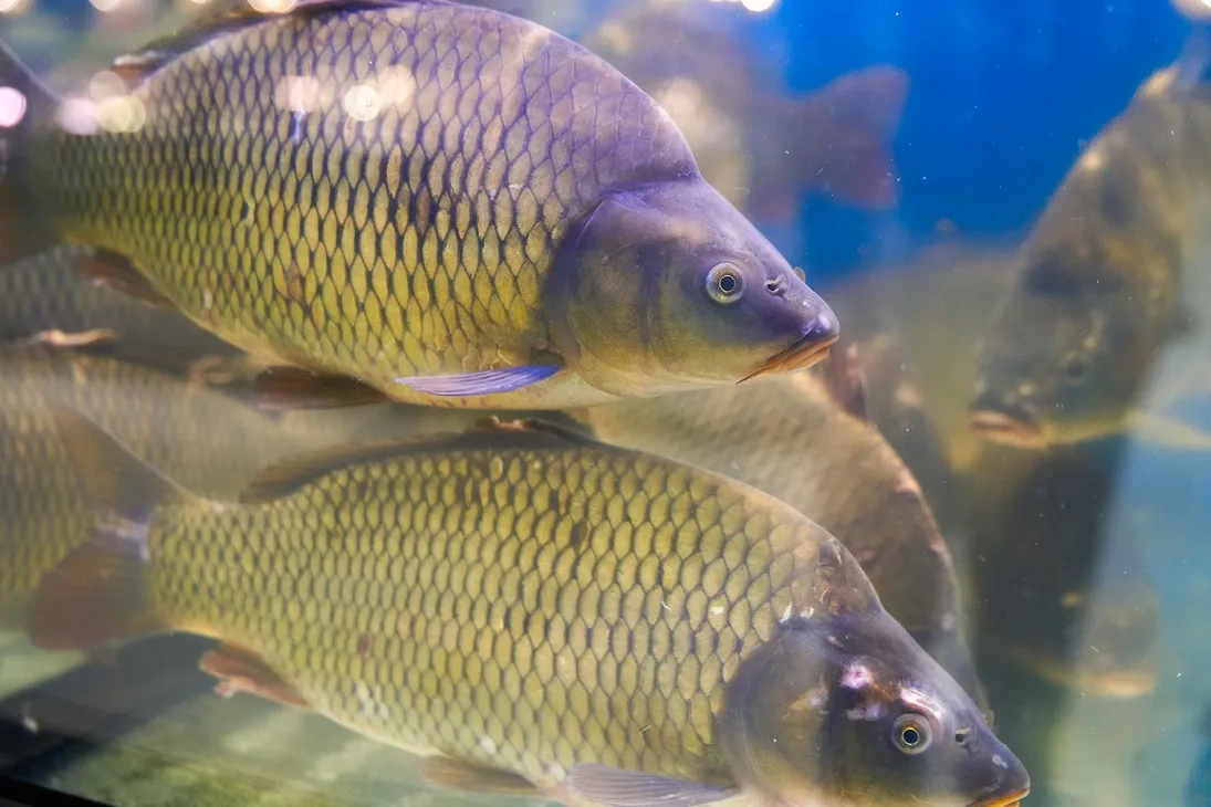 �������� �� ��������� ����� ��� � ��������� �������� ��������� �� ������ ������