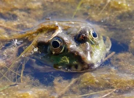 �������, ������� � ���� ������ �� ��������� ����������� ������