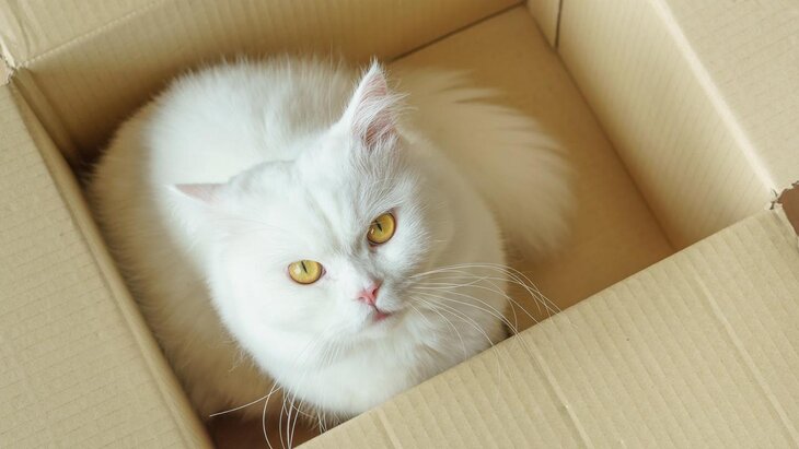 ����� � ����� ��������� ������ �� ���������� ����� ������� � ���