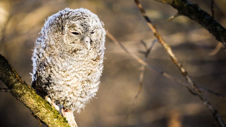 � ��������� ����� ��� � ������ ��� ��������� ������