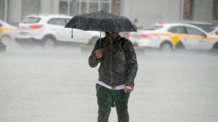 ����� � ��������� ����� ������� ������ 14 ������