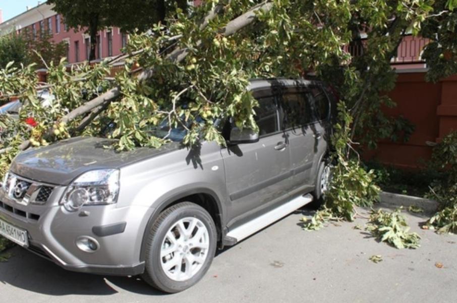 ����� ������ ����� ������������ � ����