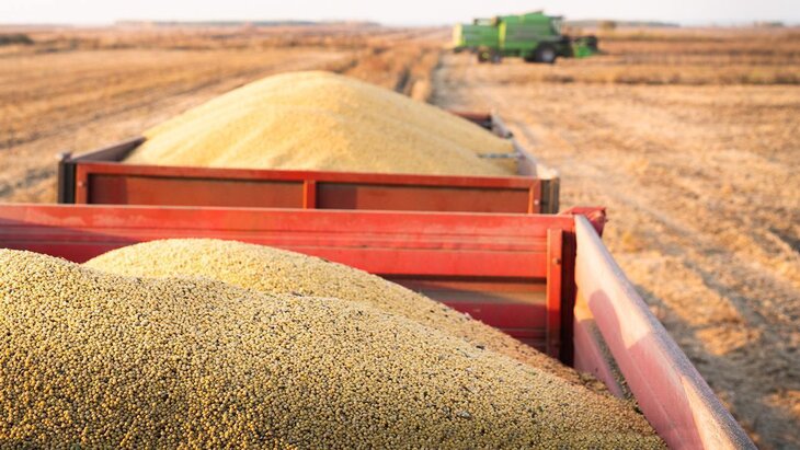 ����� � ���� ��������� ��������� � ��������� ���������� ���������������� � �����