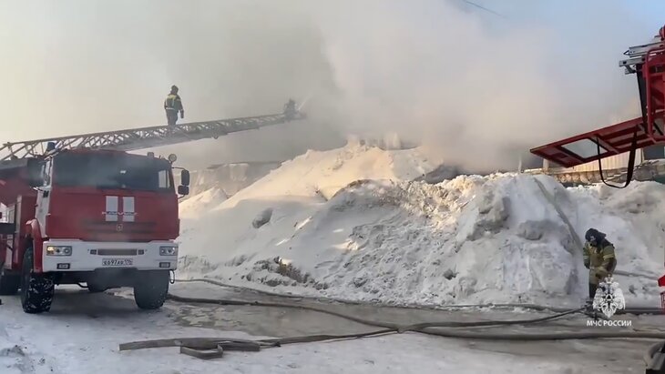 ������� ������ �� ������ � ������ ��������� 5 ����� ���������� ������