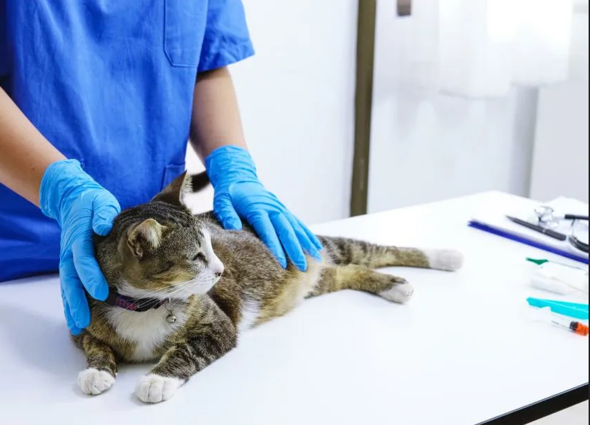 ���������� �������� 1,5 ���. ��. � �������� � ��������