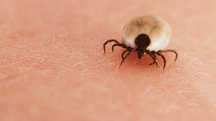 � ���������������� ������� ���������� ������ � �� � ������ ������