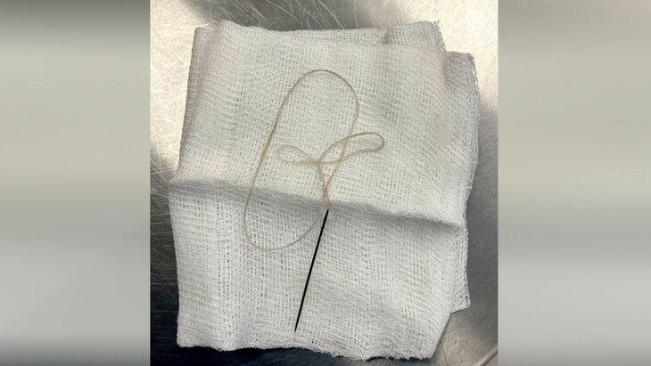 ��������� ���������� ������ ������������ ���� ������