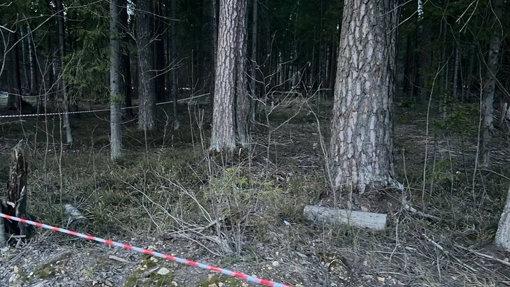 �����������, �� ������� ������ � �����������, ����������� ��������� �������������