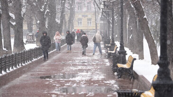 �� 3 �� ����� ����� ������� � ������ � ���� �� 29 �������