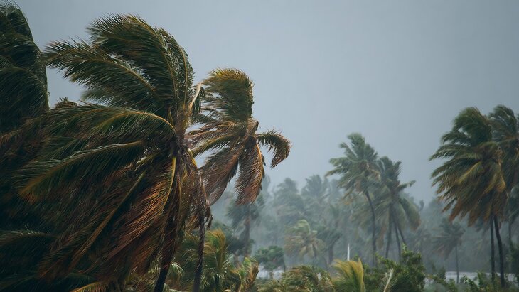 ����������� ������ "������" ��������� �� ����������