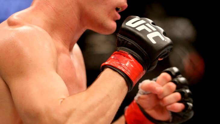 Глава РФПИ Дмитриев заявил, что Россия ждет возвращения UFC осенью 2025 года