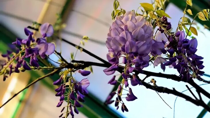 ������������ �������� ������������ � "����������� �������"