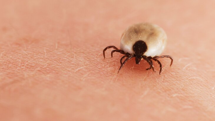 ��������������� ������ �� ���������� ������� ������ ������ � ������