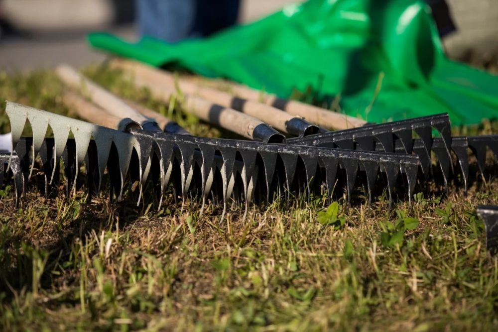 ���������� ��������� ������� � ������� ����������� ���������� 18 � 25 ������