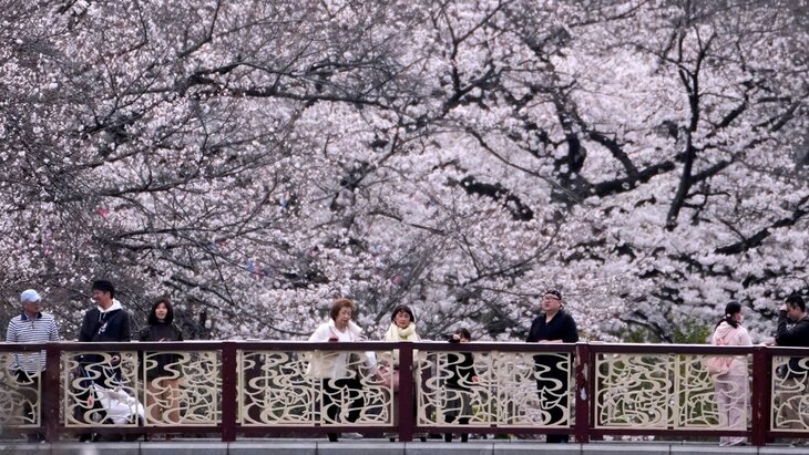 � ����� ������� ����� �������� ������