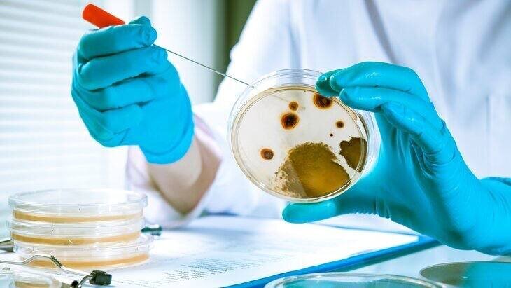 � ��� ����������������� ����������� ������� ���������� �����