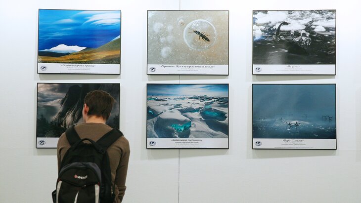 ������ ������ ������� ����� ��������� ������� "������������ ������"