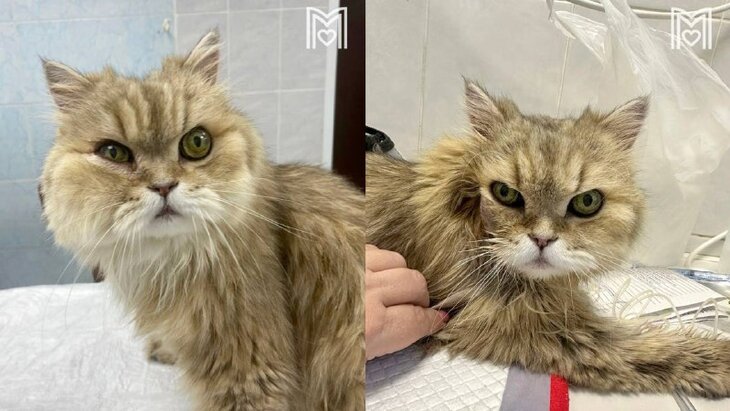 ��������� ���������� �������� 18-������� ���� �� �����