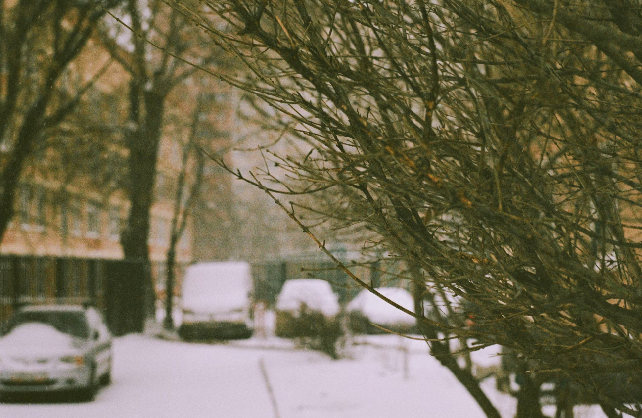 ����� ����� �������� ����� ������� ������� � ������ � ������ �����