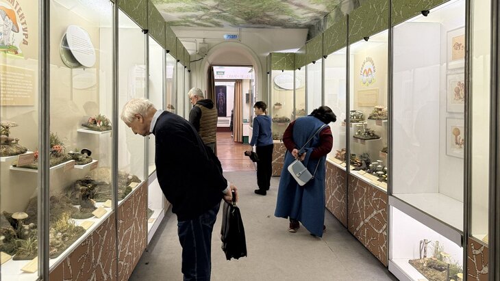 "��������" �������� �������� ����������� �� ��� �������� �������������� �����