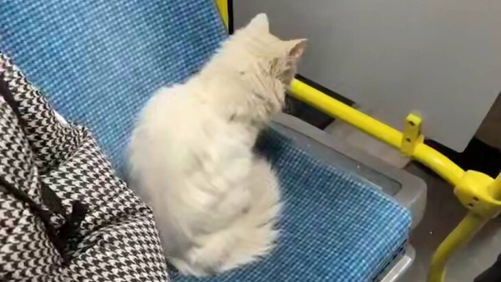 ���� ������, ������� �������� ���������� �� ������� � ������, ���� ���