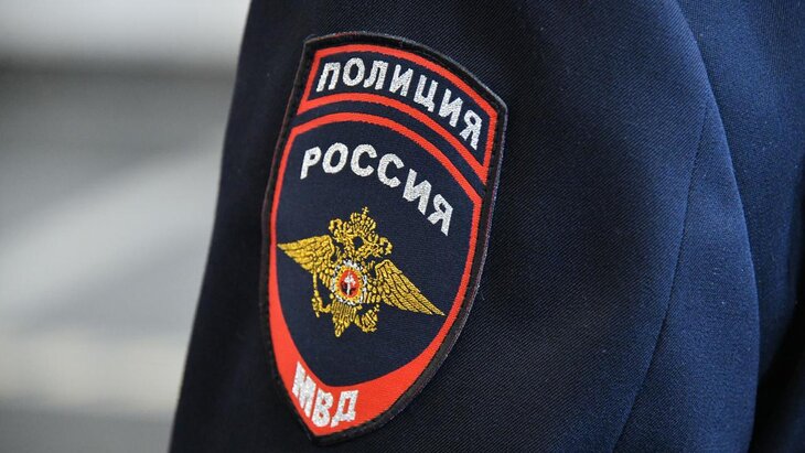 Полиция установила личность девочки, разбившей стекла в электричке на МЖД