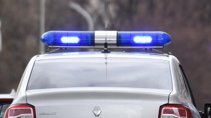 Омбудсмен Ярославская взяла на контроль инцидент со стрельбой в мальчика в ТиНАО