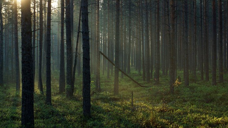 ������� ��������� ��������� ���������� ����� ��� ��������� � �������� � ���