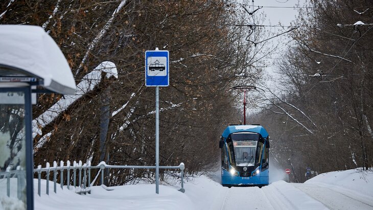 "����������� ���������" �������� �������� � ��������������� ������ ������� � ������� � 38