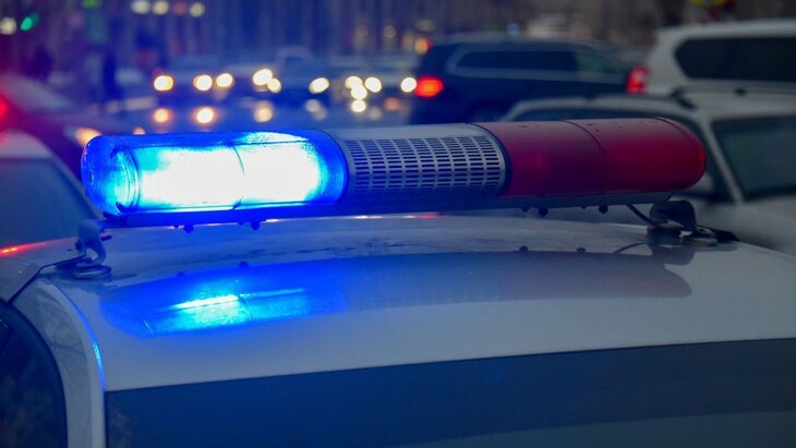 ���������� �������� ���� ������� �� ���������� �������� � �����