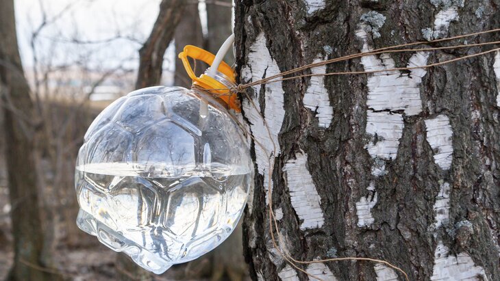 ����� ����������� � ������� �� ���� ���������� ����