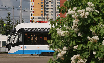 Трамваи перестанут ходить по Таллинской в выходные